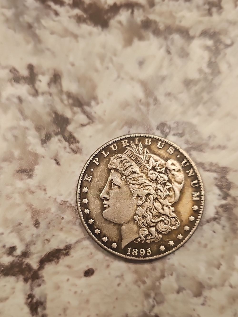 Vintage 1895 Silver-Patina Decorative Coin Accent - Silver Tone
